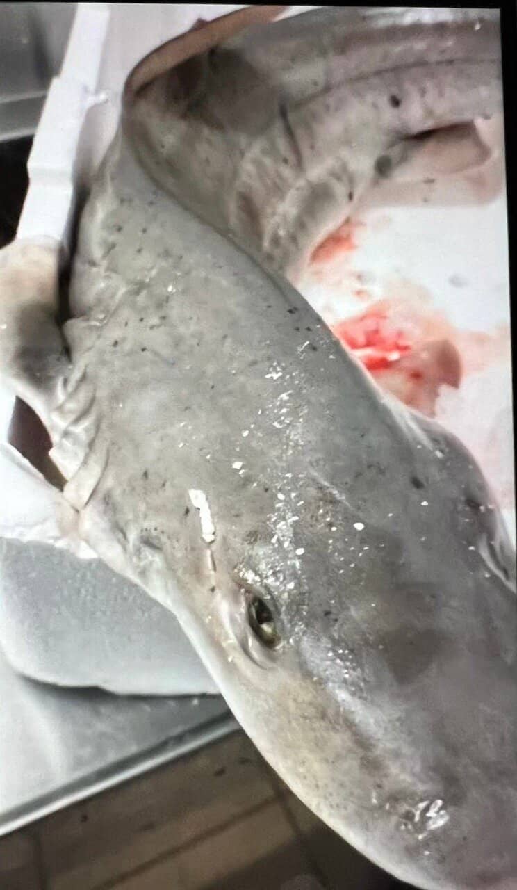 Leisurely Waterfront Strolls