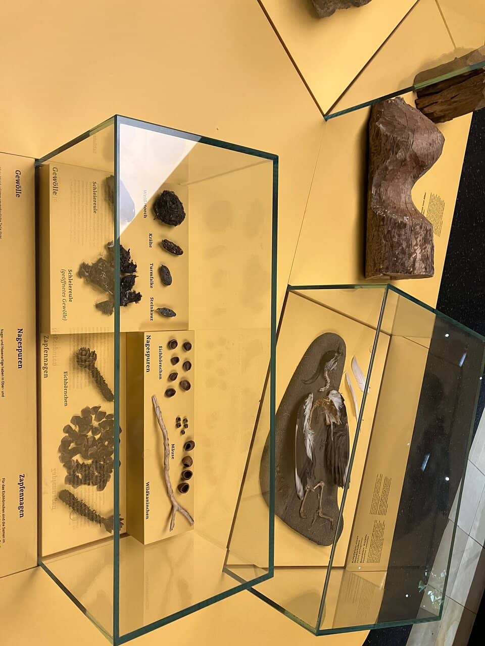 Special Exhibitions
