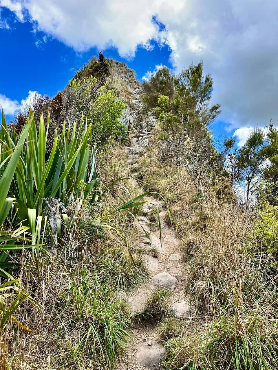 The Steep Ascent