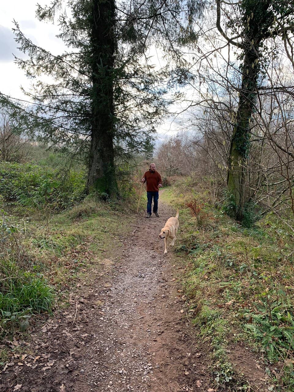 Wildlife Spotting