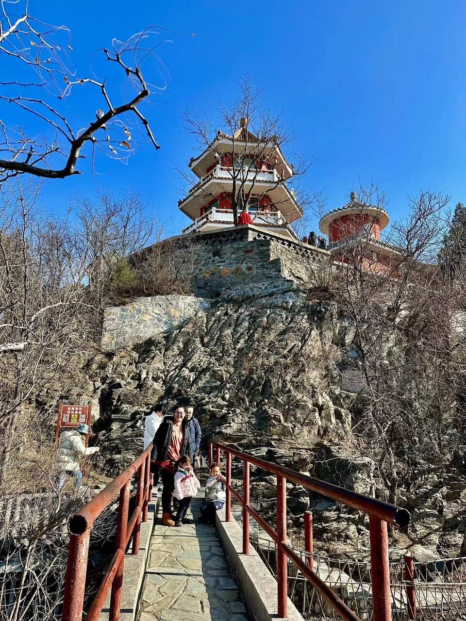 Vertical photo