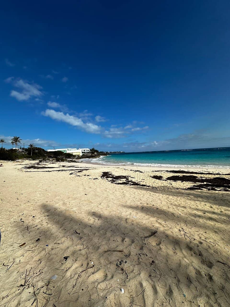 BQ's Beach Grill