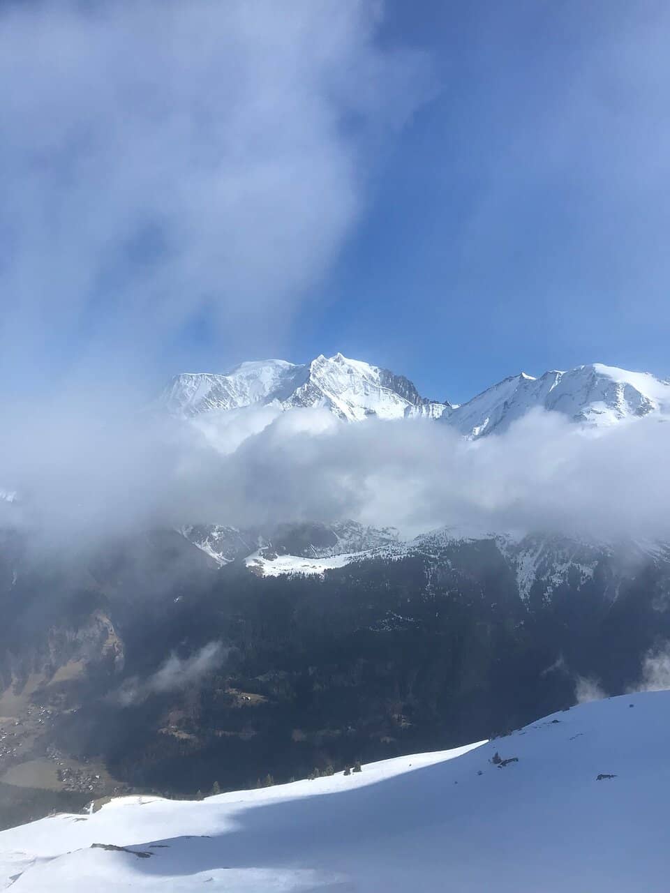 Vertical photo