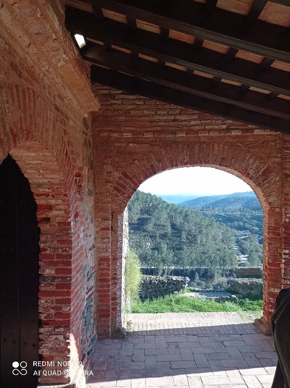 Vertical photo