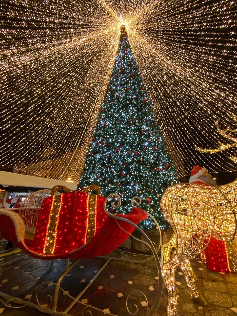 Surrounding Amenities