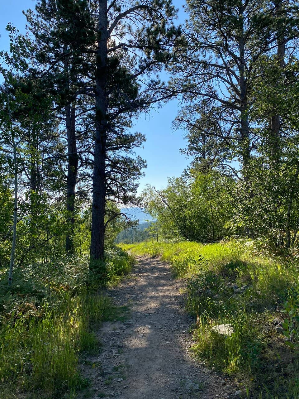 Panoramic Lookout from the Top