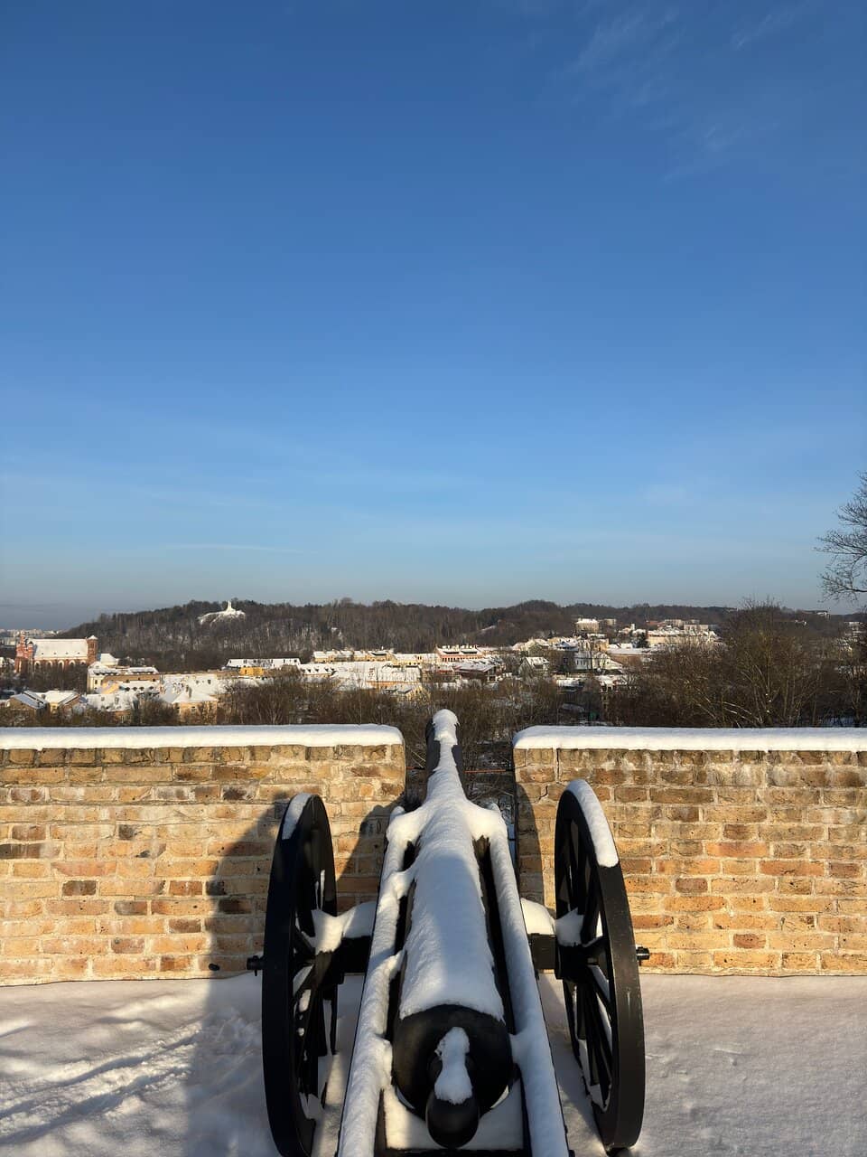 Interactive Museum Exhibits