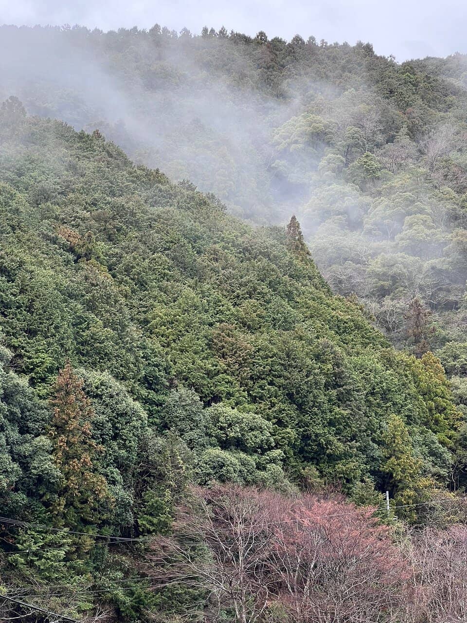 Mountain View Onsen