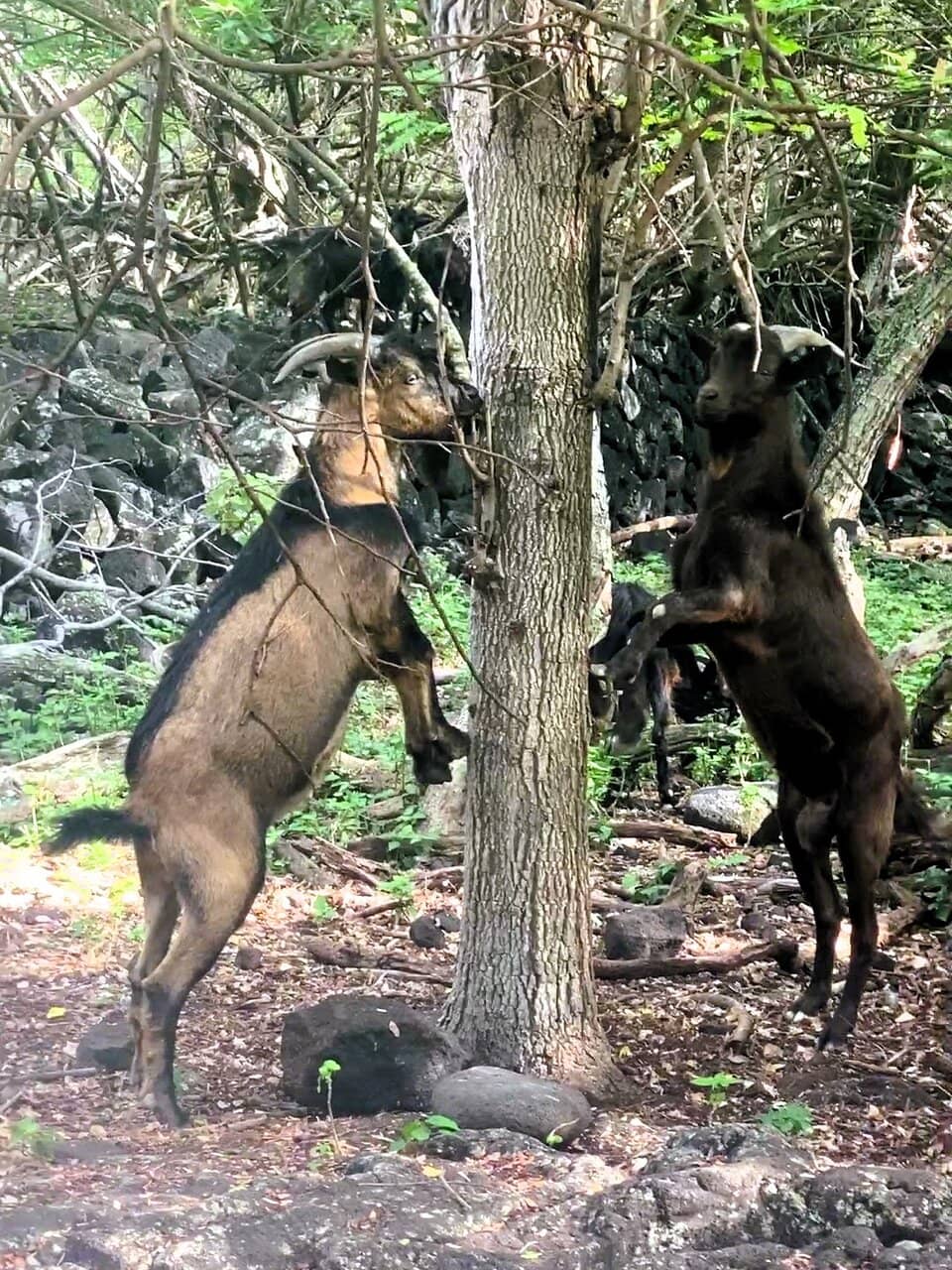Spectacular Bay Views