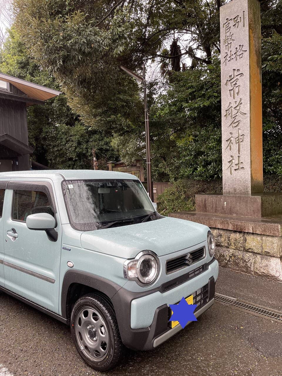 Carved Animal Totems