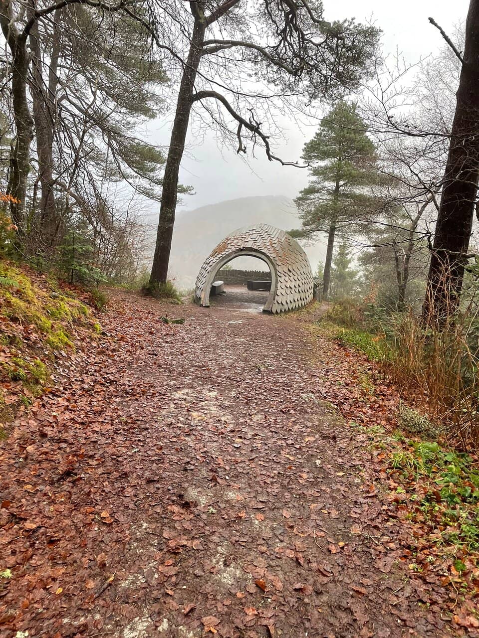 Vertical photo