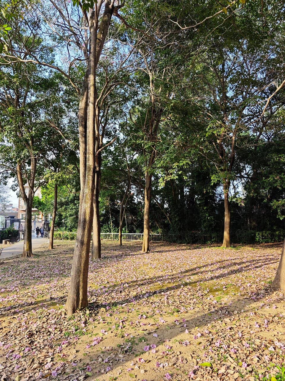 KANO Playground