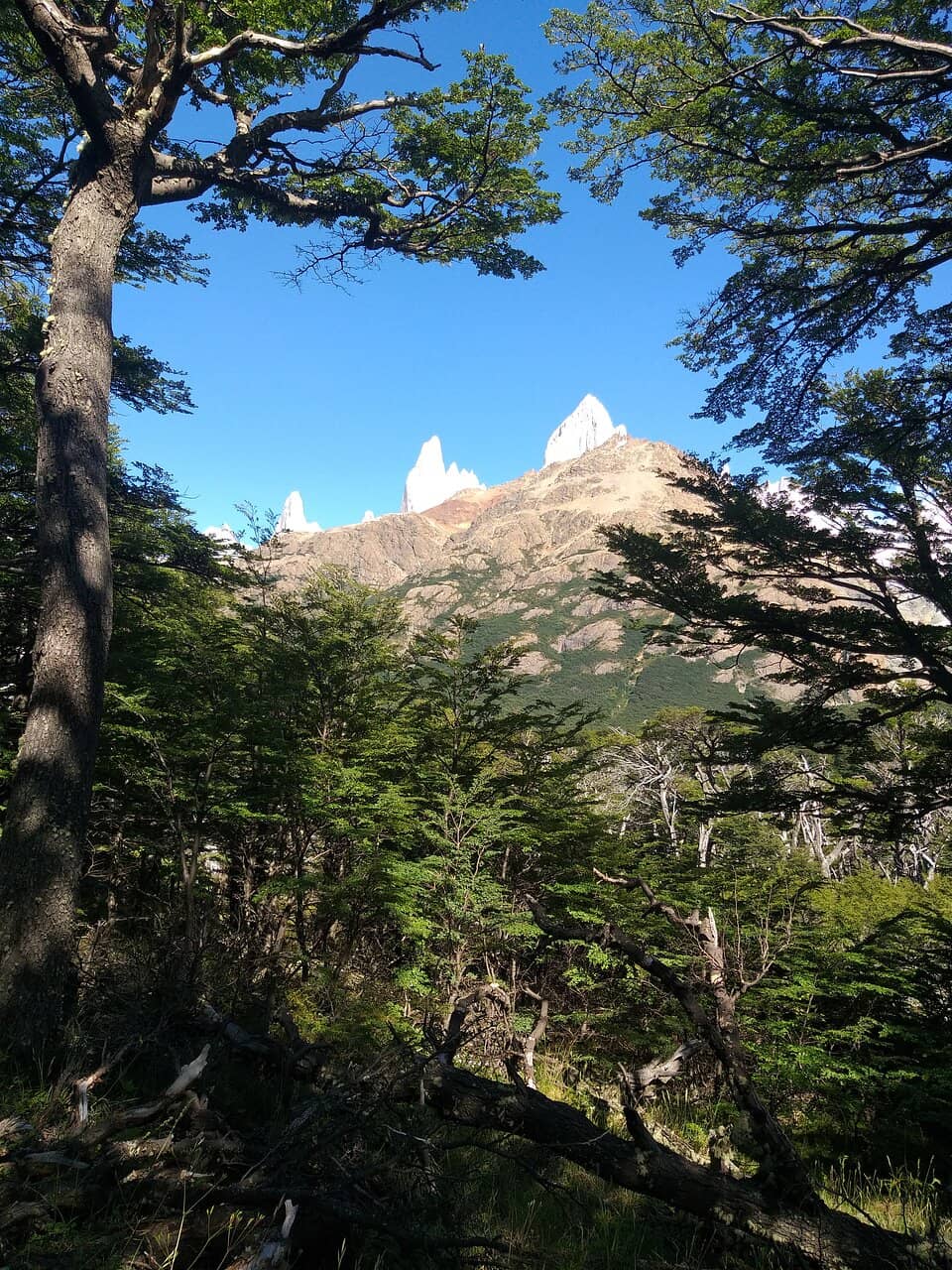 Vertical photo