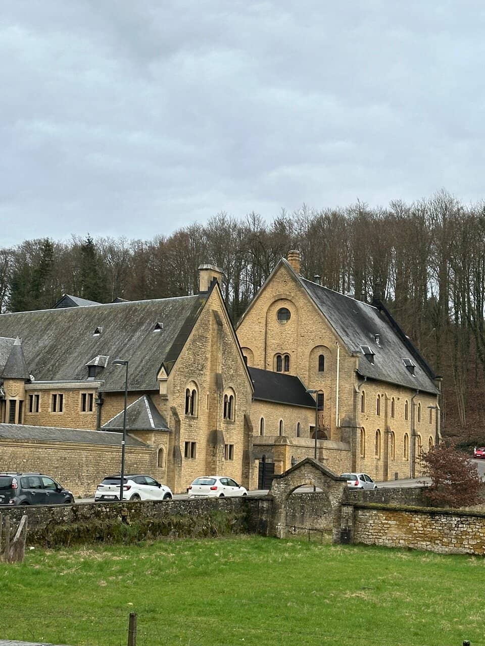 Tranquil Herb Garden
