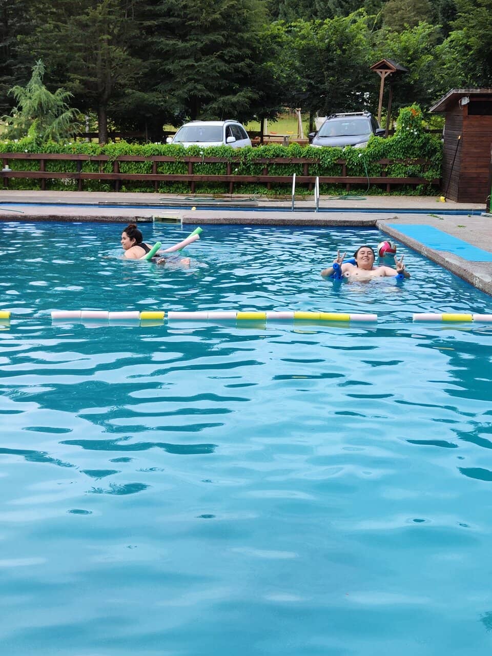 Palm Tree Lined Walkways
