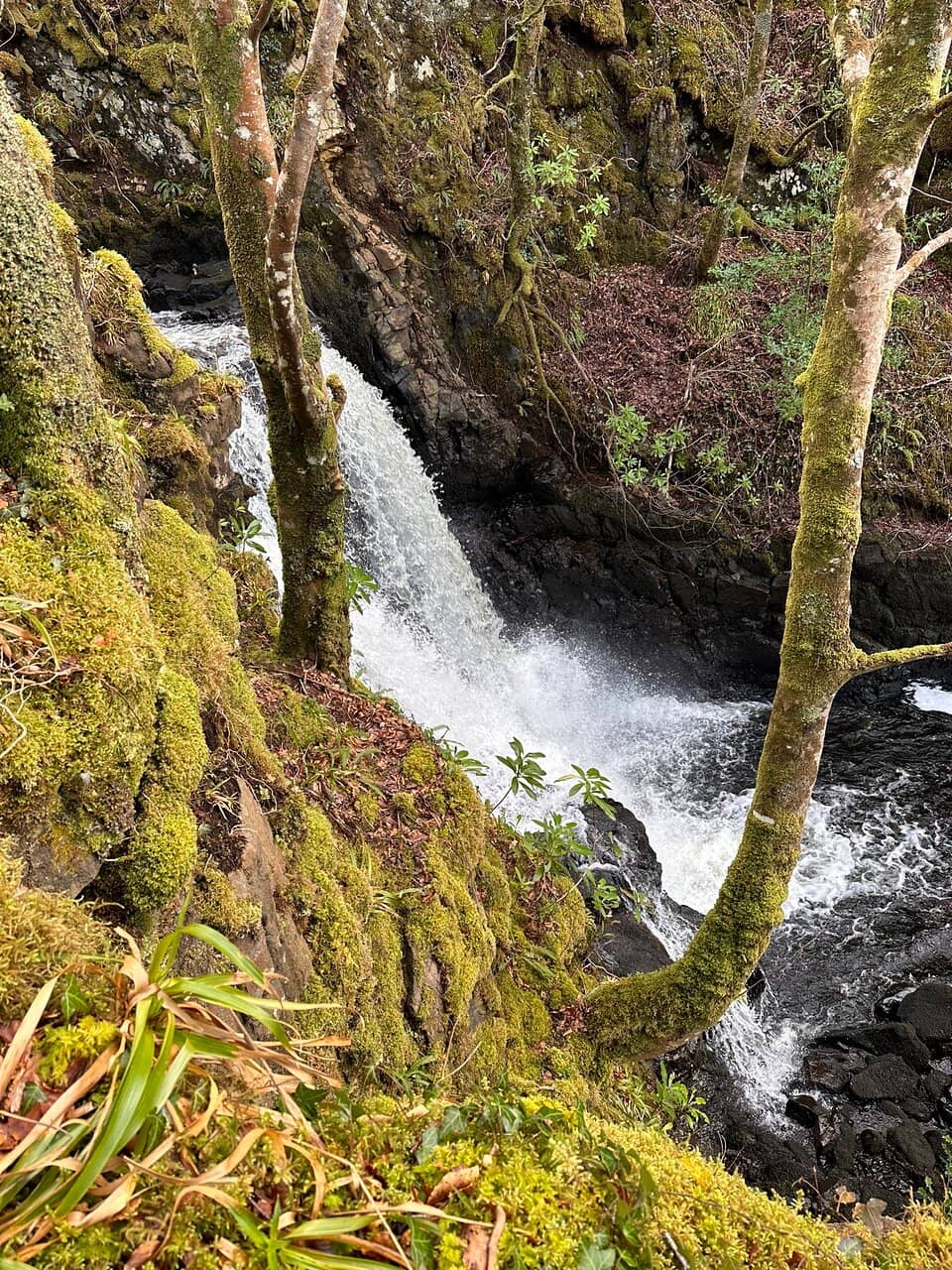 Tobermory Viewpoints