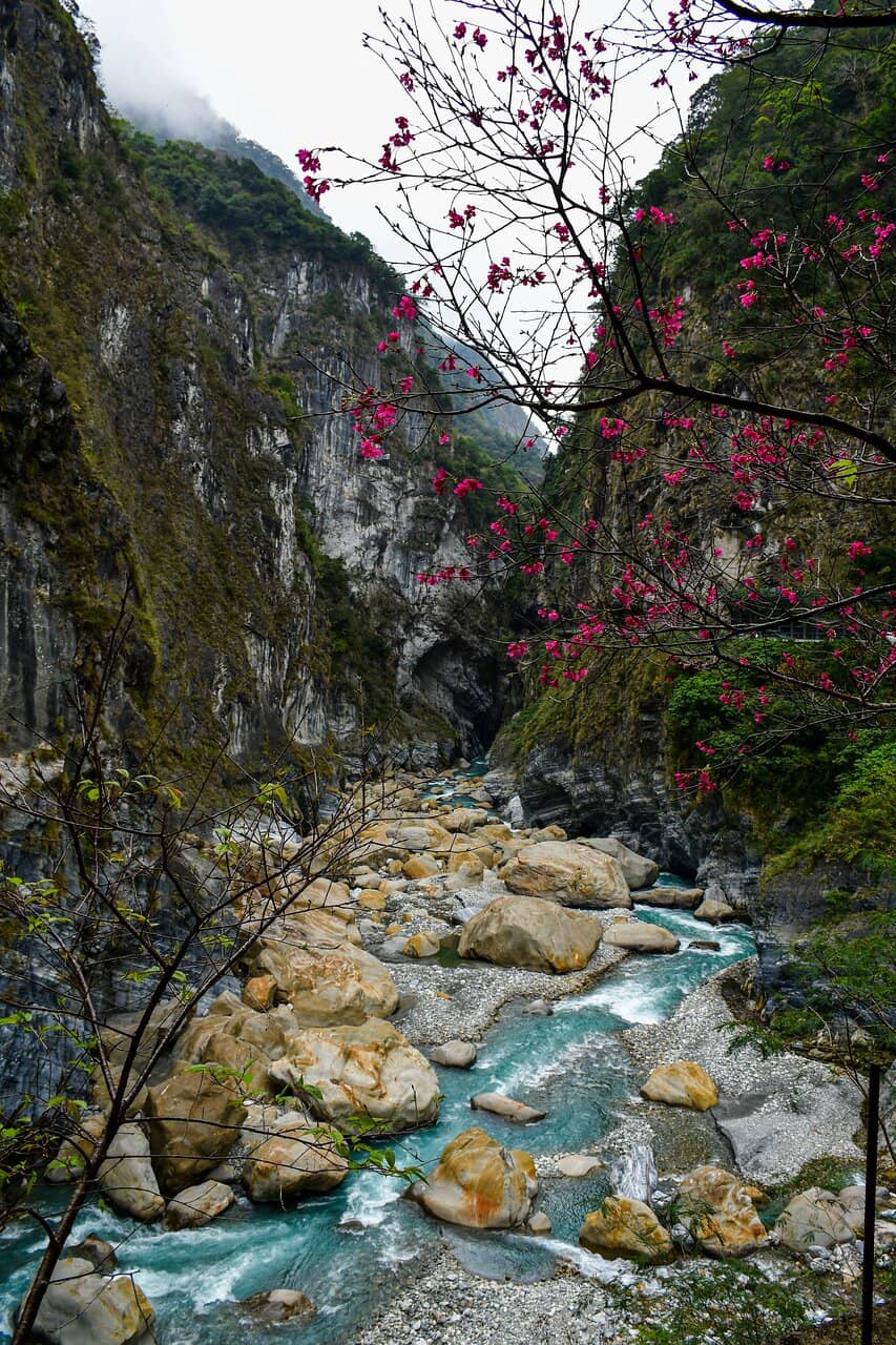 Vertical photo