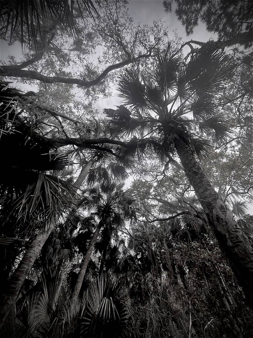 Kayaking the Marshlands