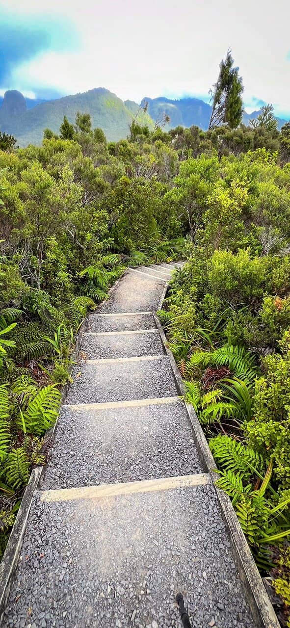 Pinnacles Hut