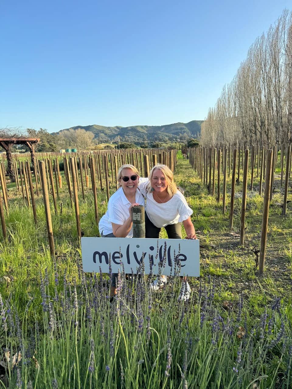 Award-Winning Pinot Noir