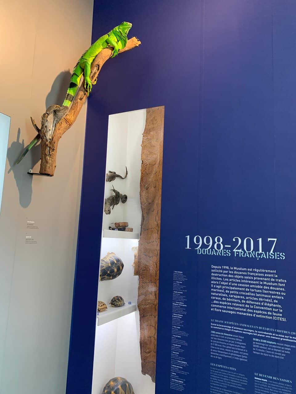 Neoclassical Architecture