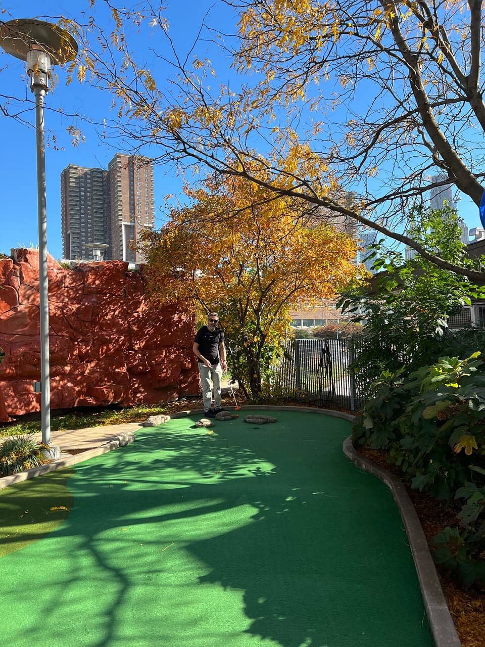 Hudson River Skyline