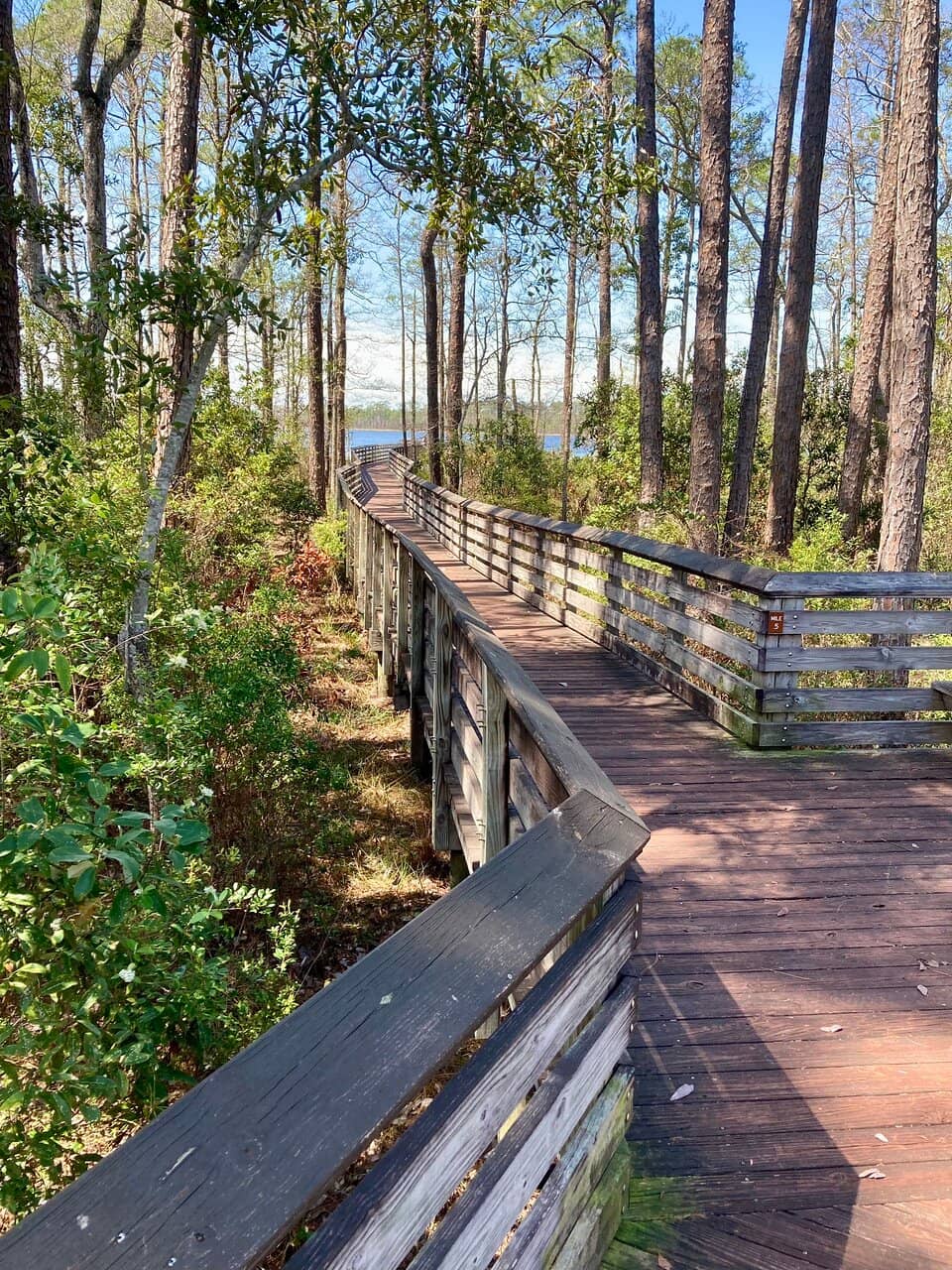 Wet Prairie Landscape