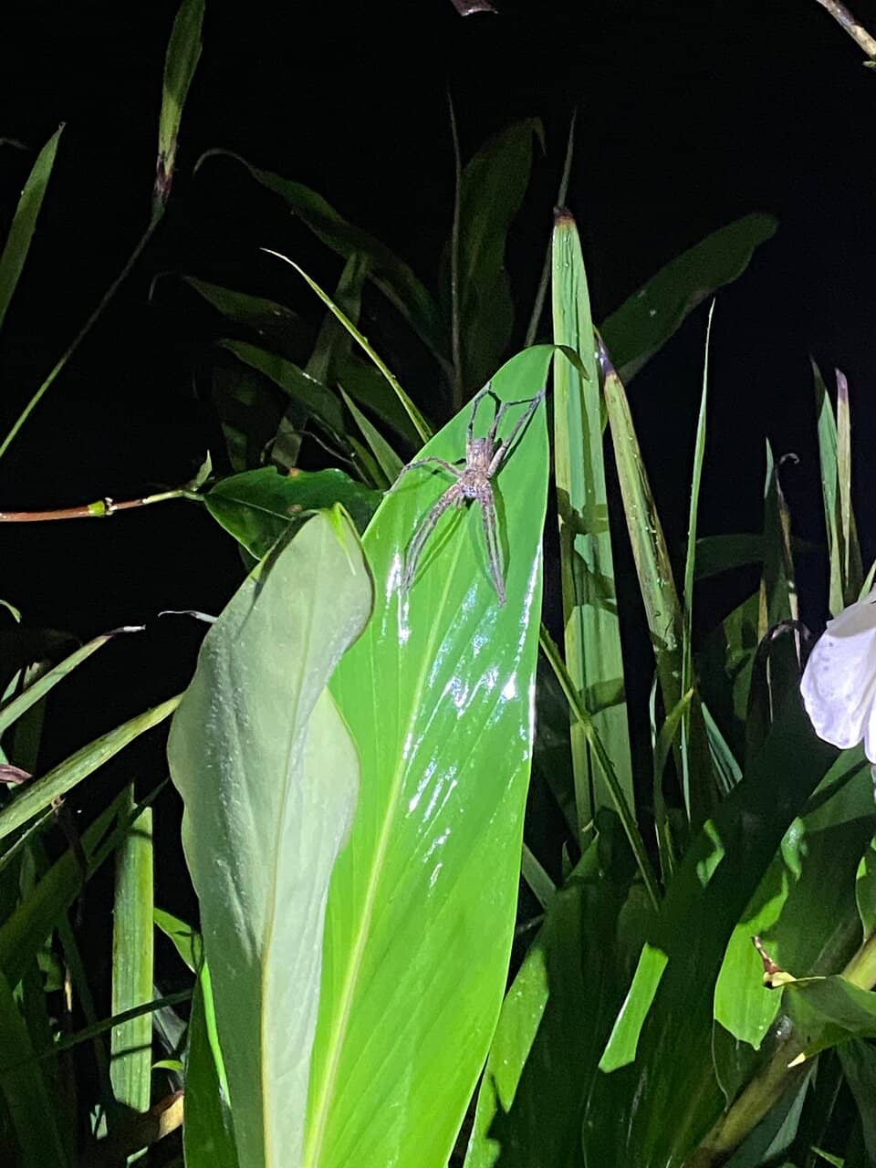 Rustic Cabin Retreat