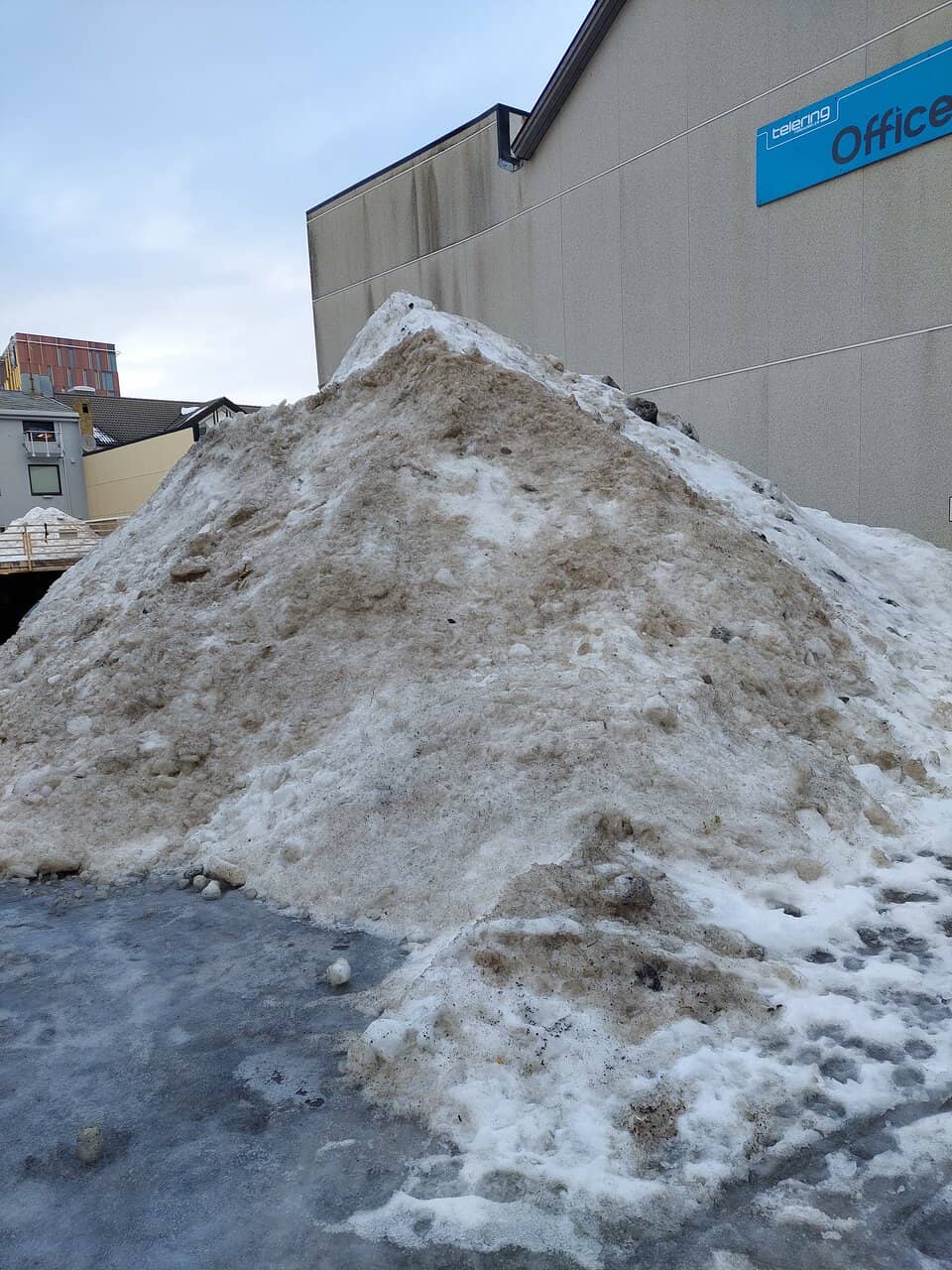Vertical photo
