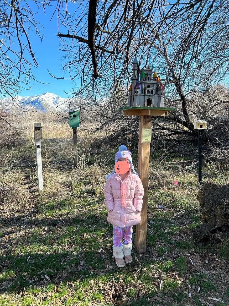 Live Animal Exhibits