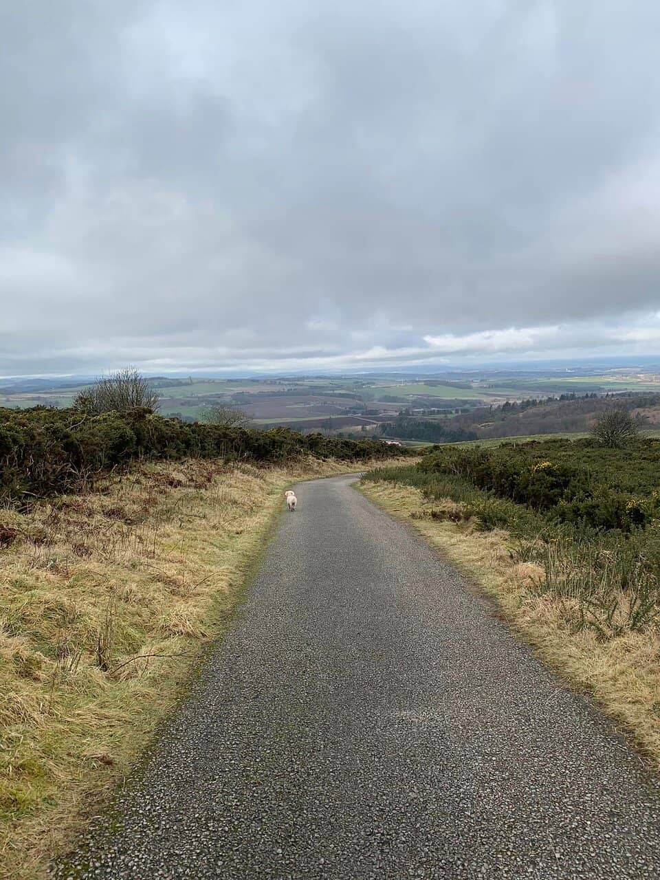 Aberdeenshire Coastline Vista