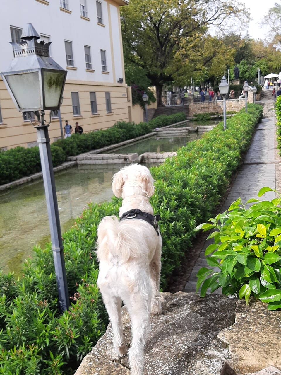Moorish Eastern Wall