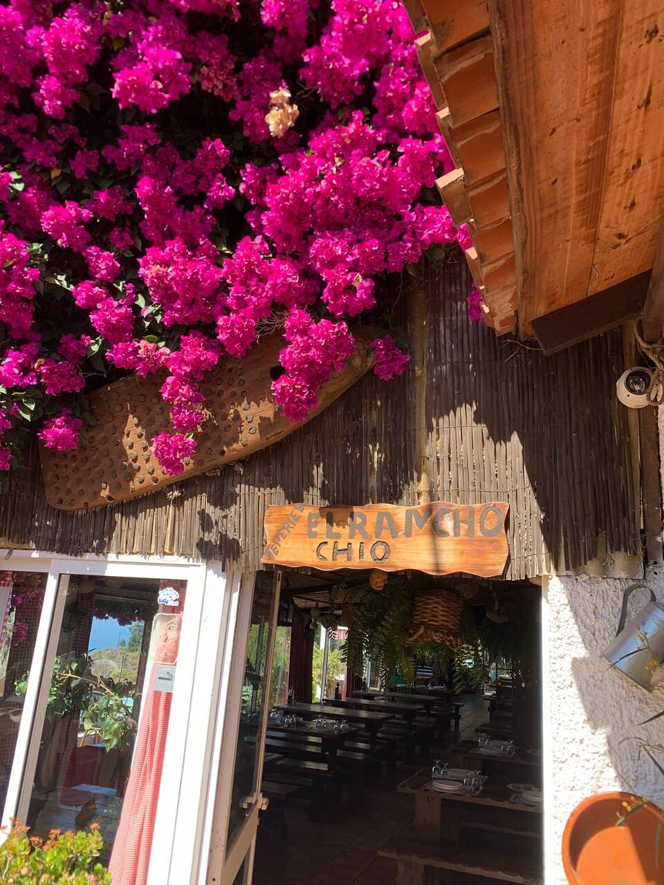 Spiritual Atmosphere