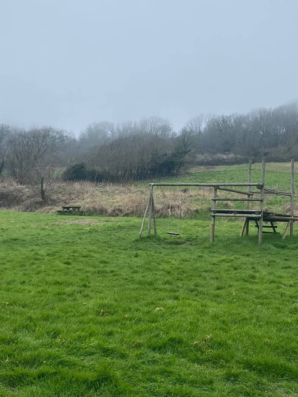 Delicious Homemade Pies