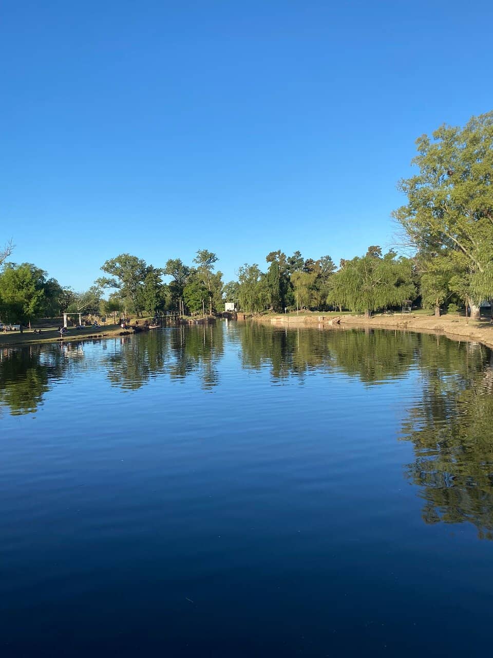 Meet the Friendly Animals