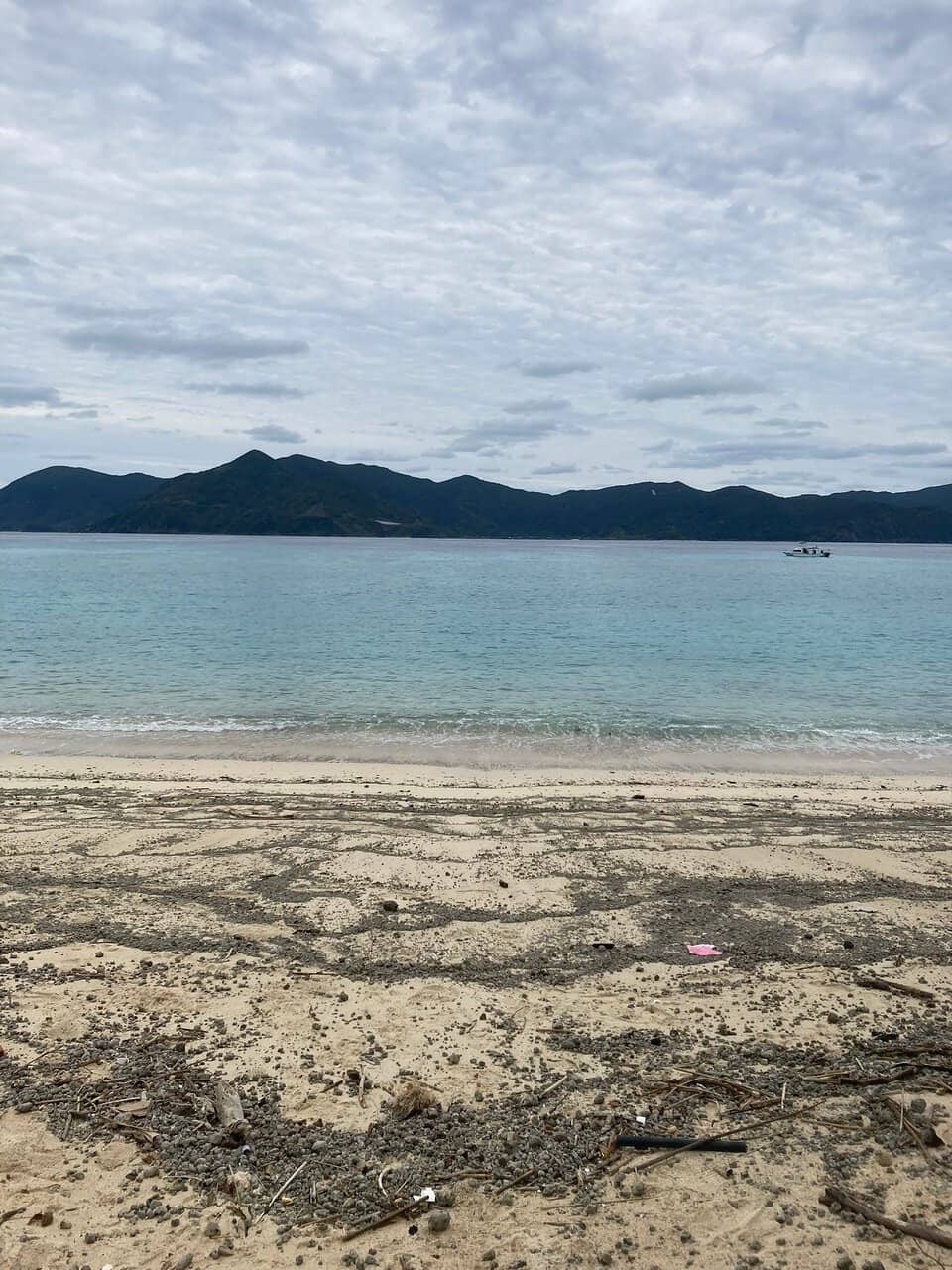White Tip Shark Encounters