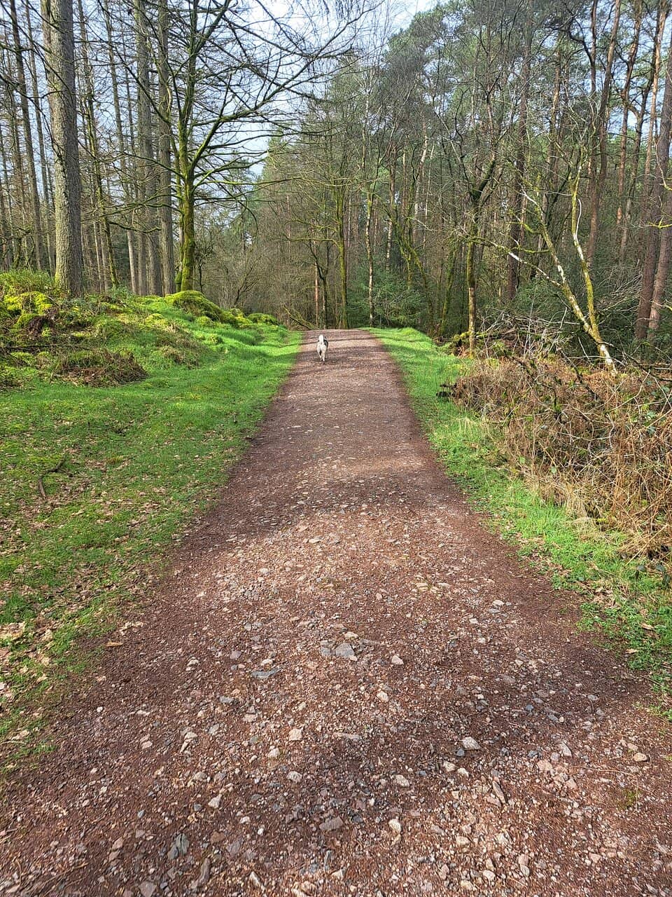 Challenging Blue & Red Runs