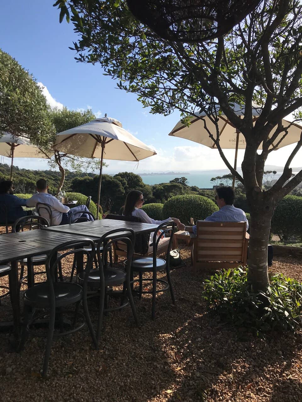 Elegant Restaurant Dining