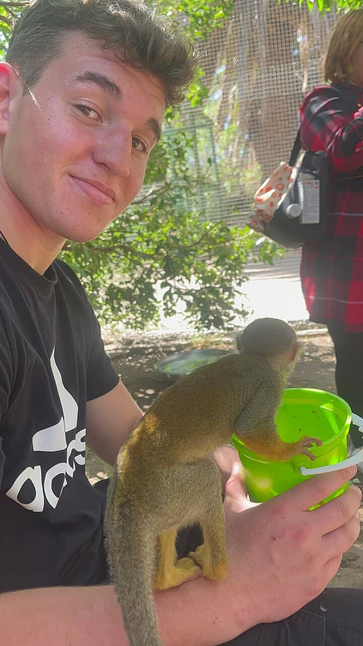 Squirrel Monkey Fun