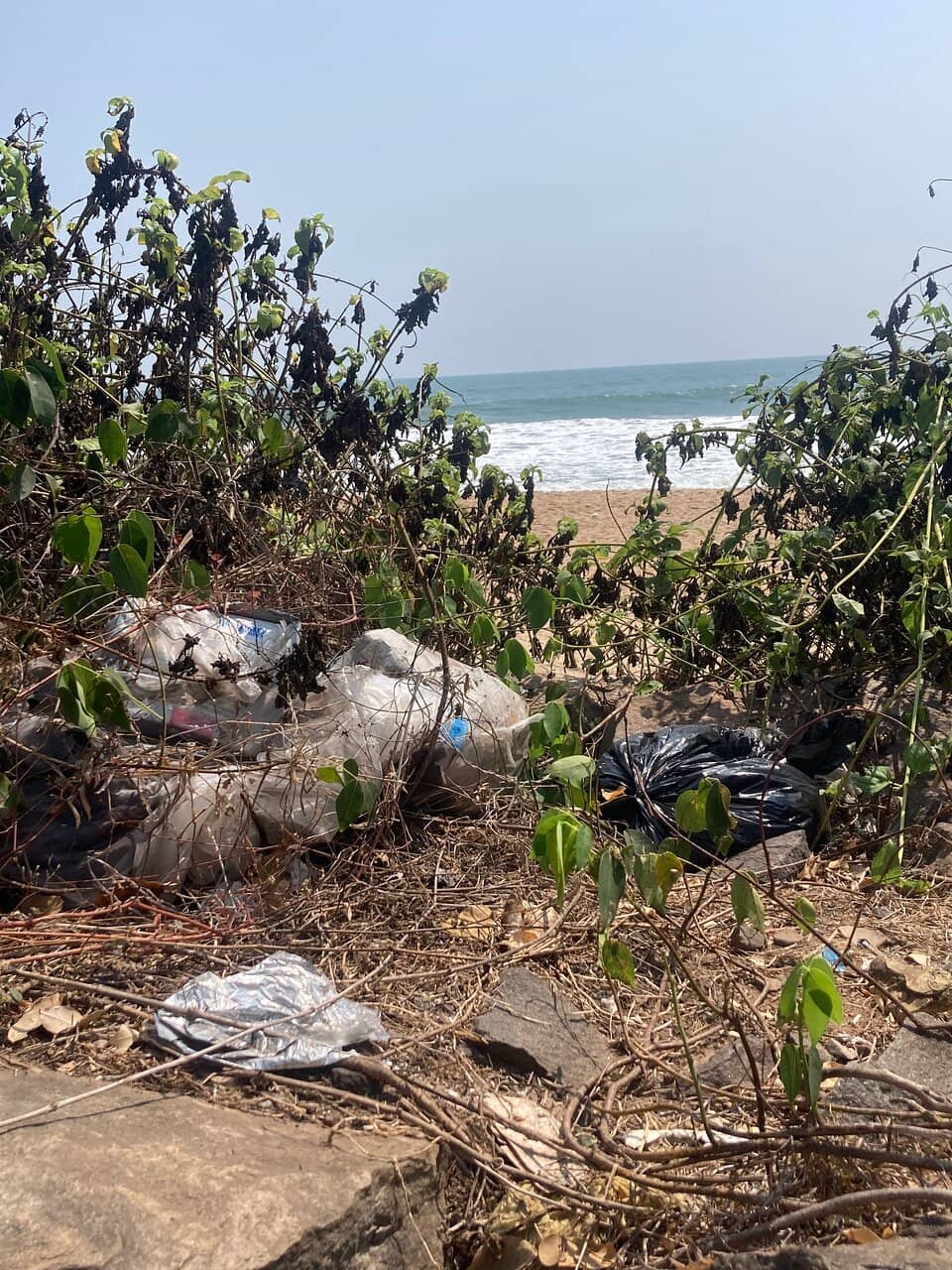 Family-Friendly Shores