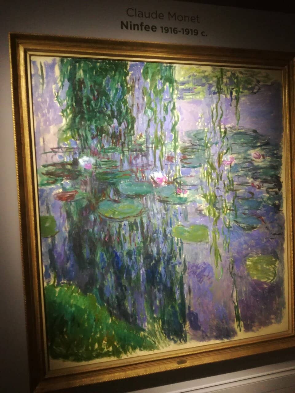 Frida Kahlo & Diego Rivera Collection