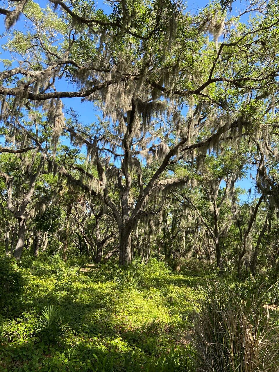 Vertical photo