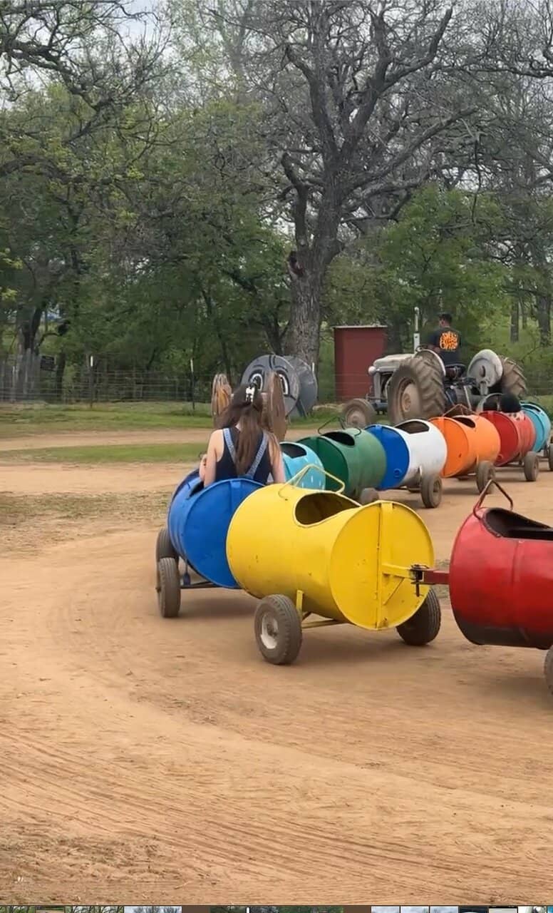 Pumpkin Patch Delights