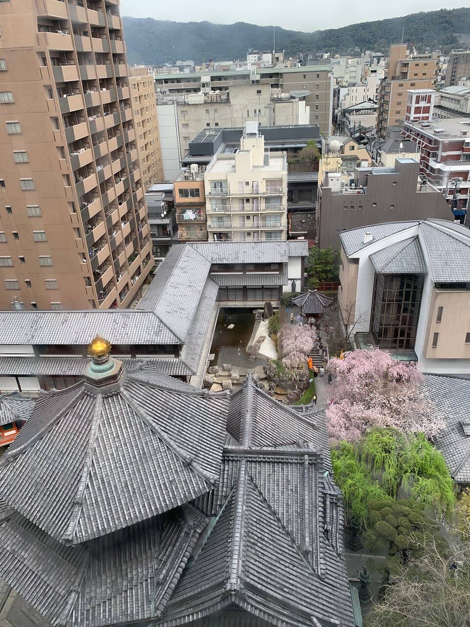 Miyuki Sakura