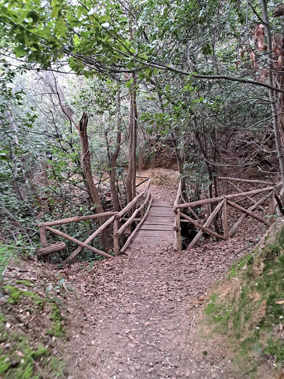 Vertical photo