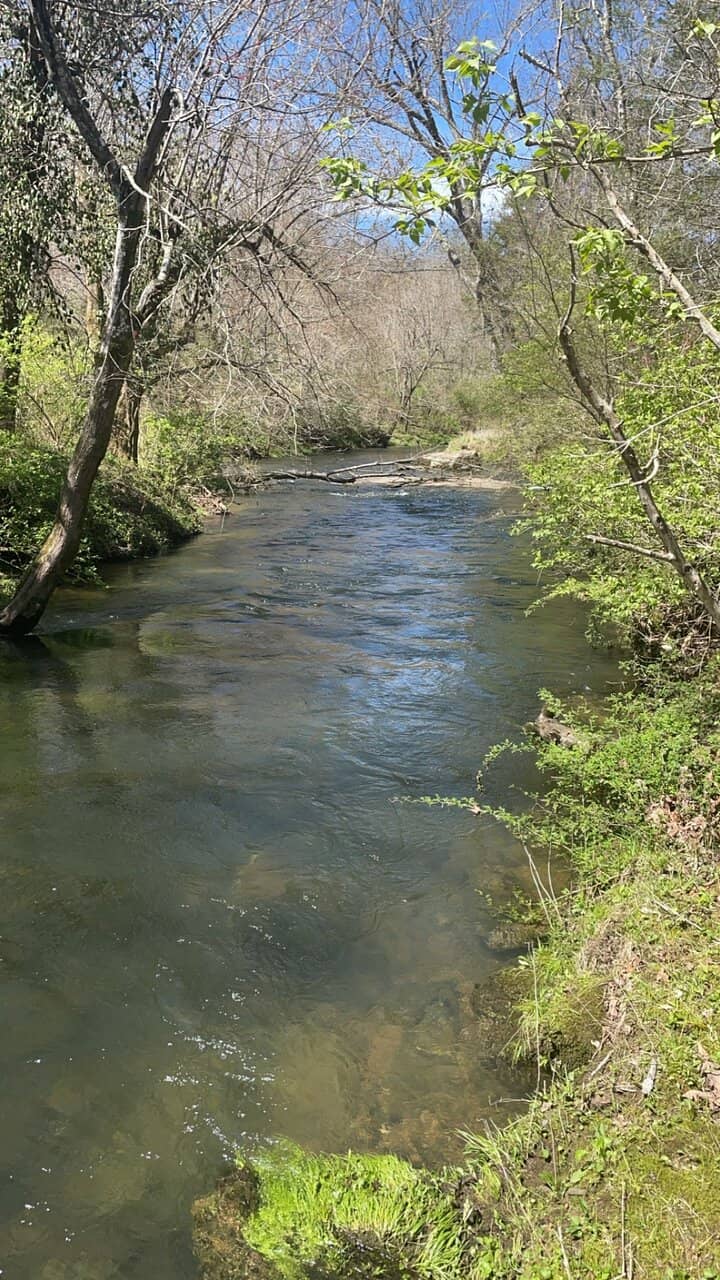 Arboretum Walk