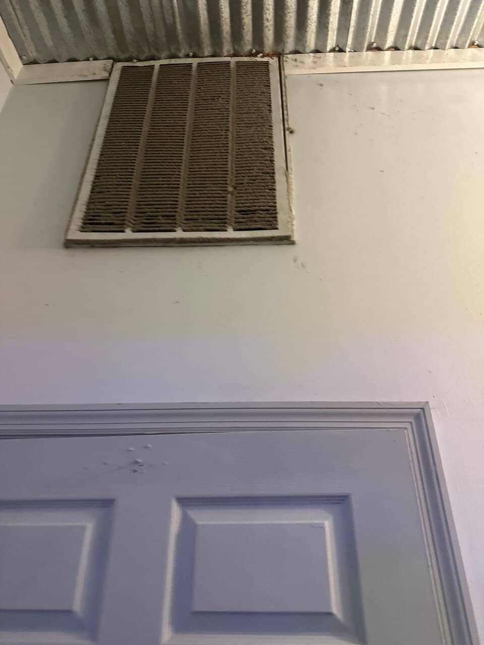 Stinging Honey Wings