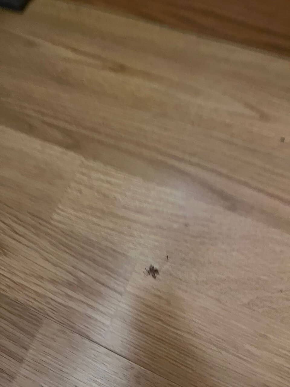 Mesmerizing City Views