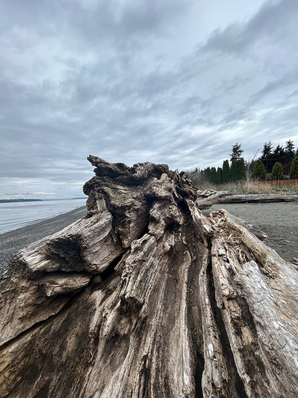 Pirate Ship Playground