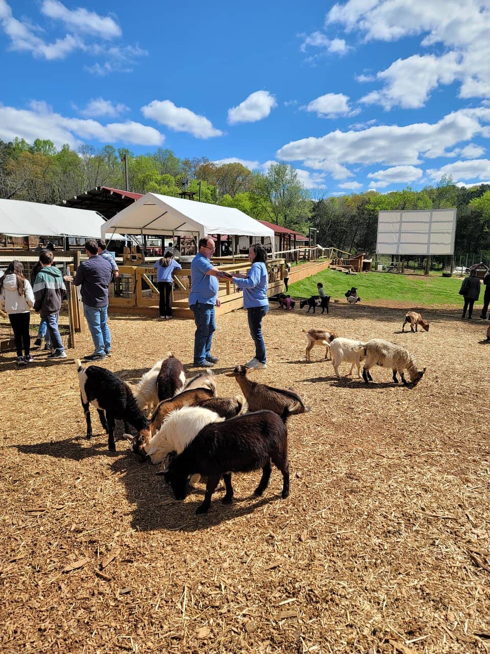 Animal Encounters